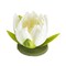 Contemporary Home Living Set of 12 White and Green Floating Lotus Flower 4”